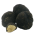 Μαύρη καλοκαιρινή τρούφα (Tuber aestivum)